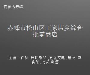 赤峰市松山区王家店乡综合批零商店